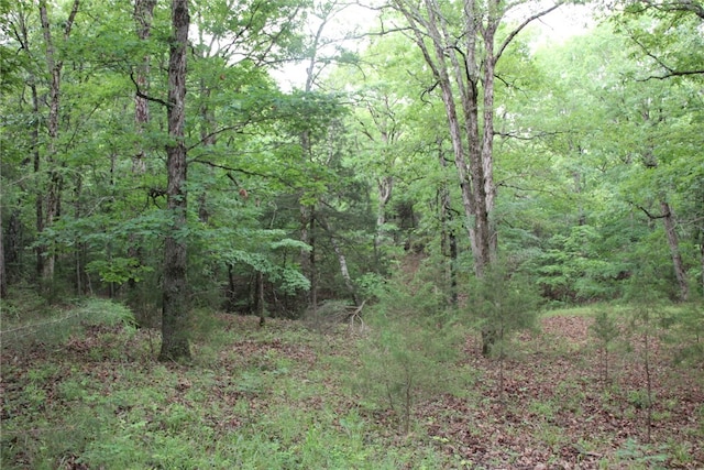 001-05594-000 Mc 8012, Yellville, AR 72687 - photo 2