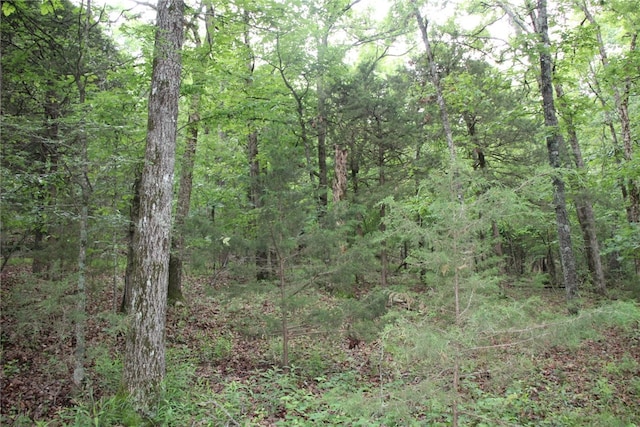 001-05594-000 Mc 8012, Yellville, AR 72687 - photo 3