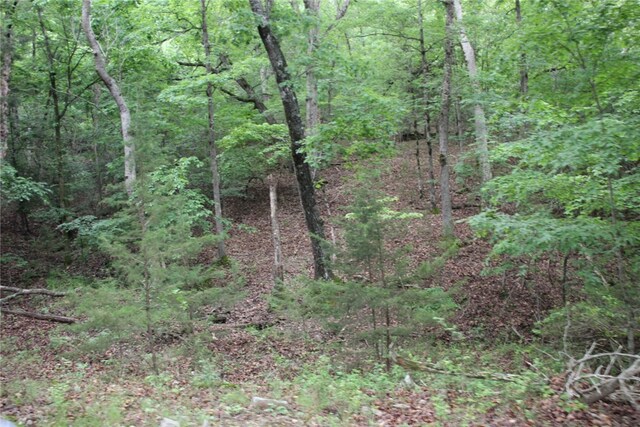 001-05594-000 Mc 8012, Yellville, AR 72687 - photo 5