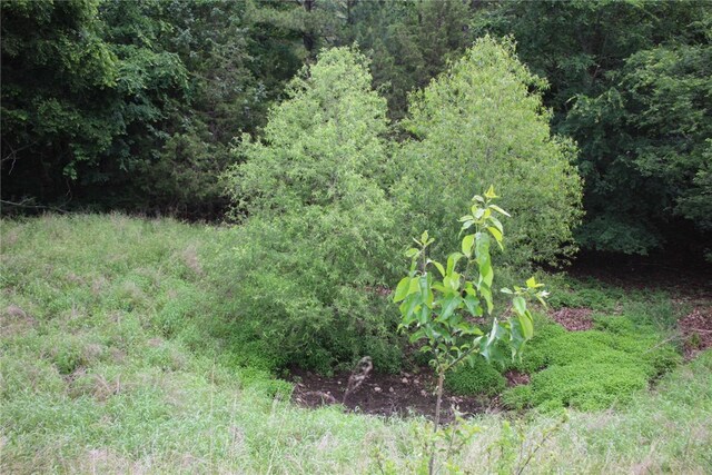001-05594-000 Mc 8012, Yellville, AR 72687 - photo 9