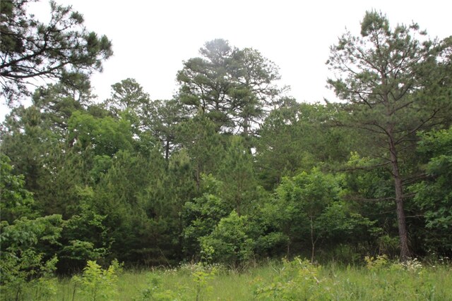 001-05594-000 Mc 8012, Yellville, AR 72687 - photo 10