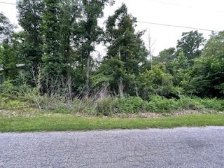 LOT8 E Ciemny Ln, Bella Vista AR, 72715 land for sale