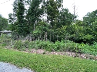 Listing photo 3 for LOT8 E Ciemny Ln, Bella Vista AR 72715