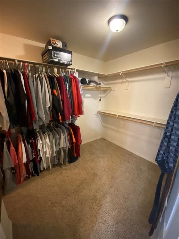 view of walk in closet