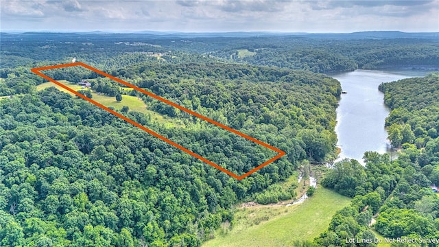 bird's eye view with a water view and a wooded view