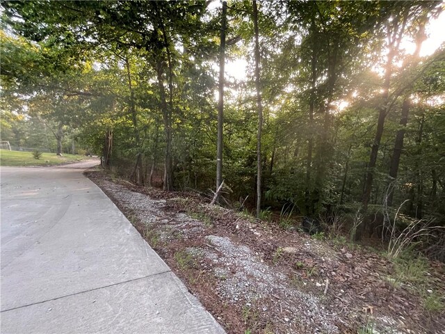TBD Jims Trail, Rogers, AR 72756 - photo 3
