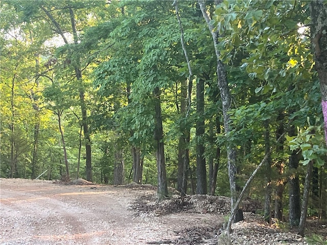 Listing photo 3 for TBD Jims Trail, Rogers AR 72756