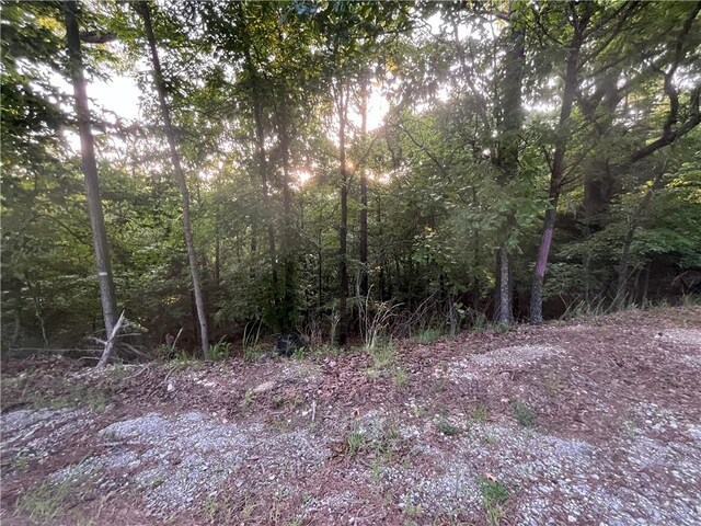 TBD Jims Trail, Rogers, AR 72756 - photo 6