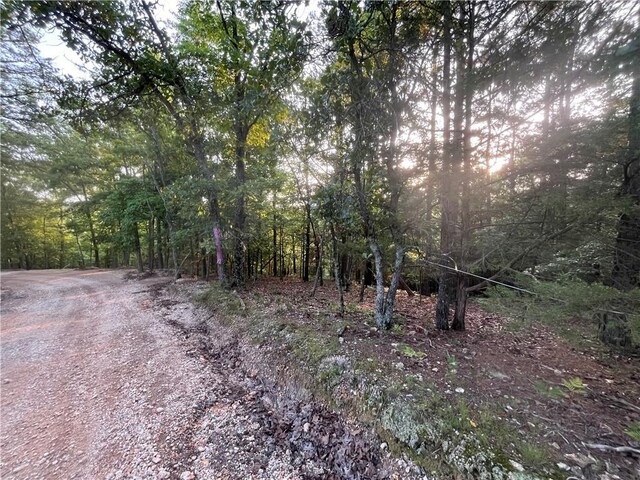 TBD Jims Trail, Rogers, AR 72756 - photo 7