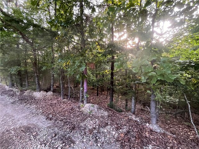 TBD Jims Trail, Rogers, AR 72756 - photo 8