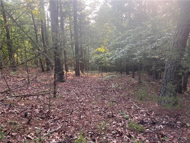 TBD Jims Trail, Rogers, AR 72756 - photo 9