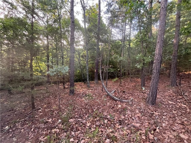 TBD Jims Trail, Rogers, AR 72756 - photo 10