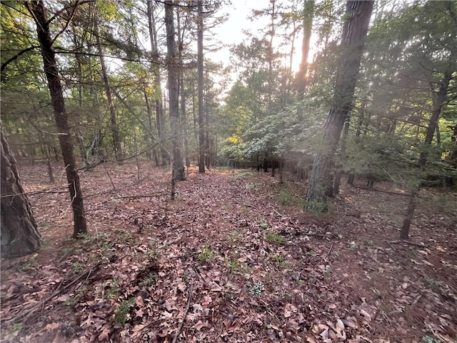 TBD Jims Trail, Rogers, AR 72756 - photo 11