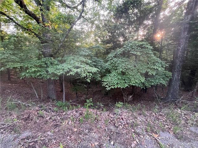 TBD Jims Trail, Rogers, AR 72756 - photo 12