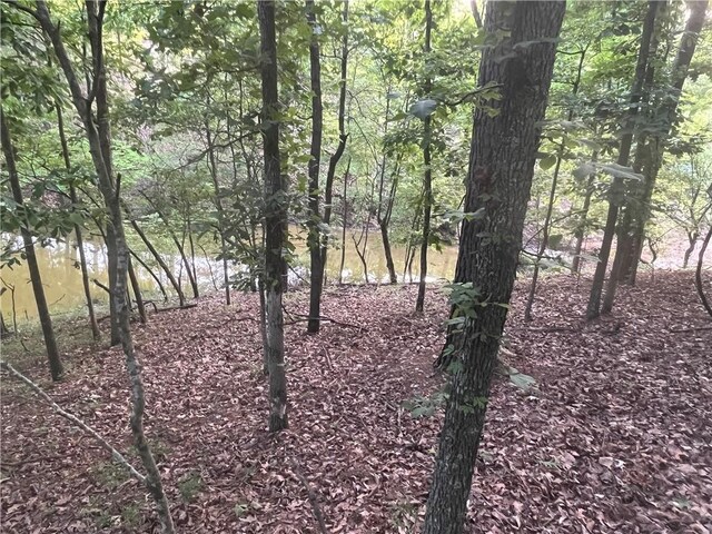 TBD Jims Trail, Rogers, AR 72756 - photo 15