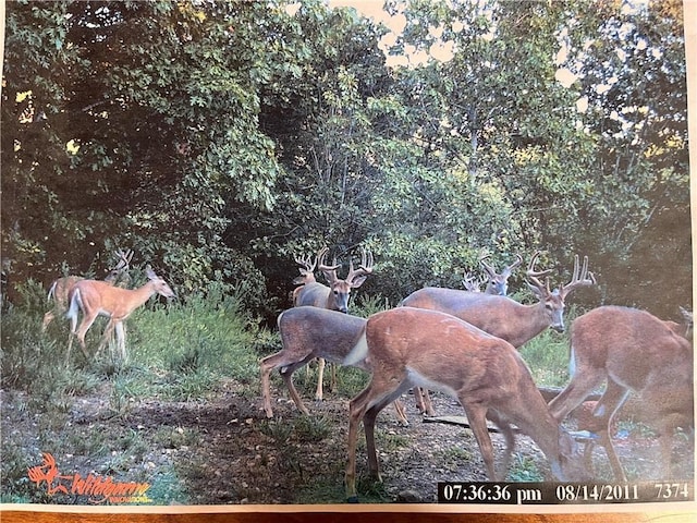 TBD Jims Trail, Rogers, AR 72756 - photo 16