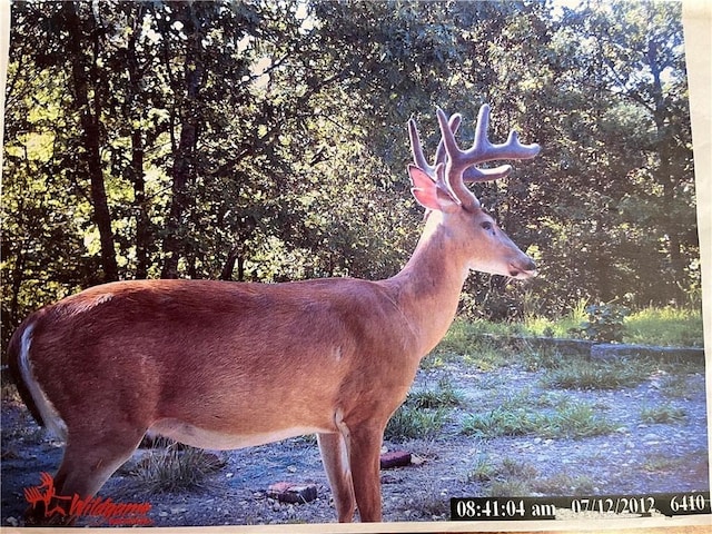 TBD Jims Trail, Rogers, AR 72756 - photo 17