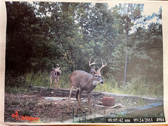 TBD Jims Trail, Rogers, AR 72756 - photo 18
