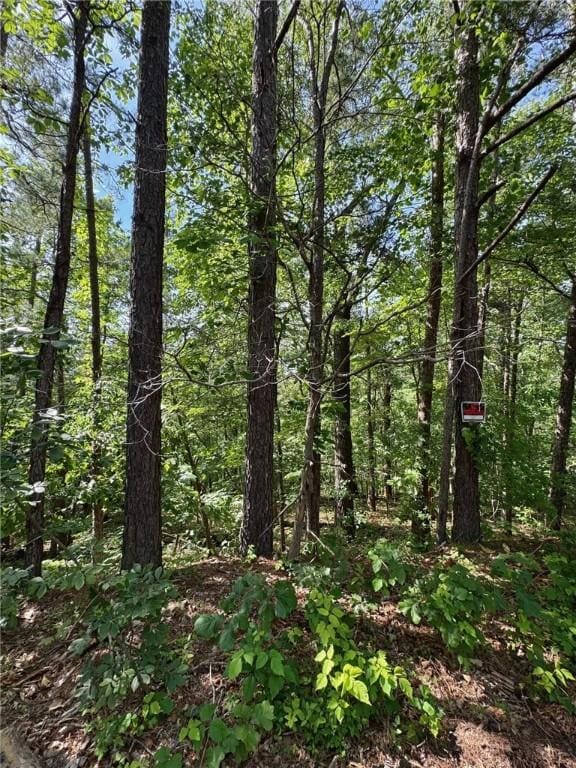LOT34-35 Dunholme Dr, Bella Vista, AR 72714 - photo 3