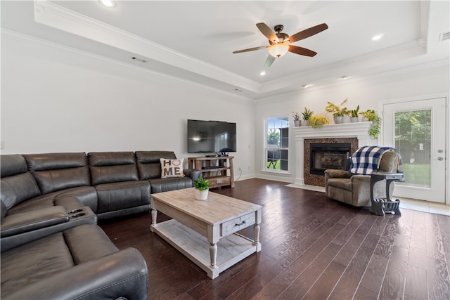 living room with a healthy amount of sunlight, dark wood-type flooring, and a tray ceiling