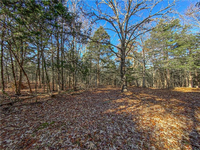 view of local wilderness