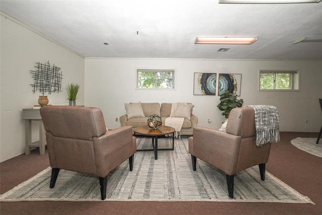 carpeted living room featuring a healthy amount of sunlight and visible vents