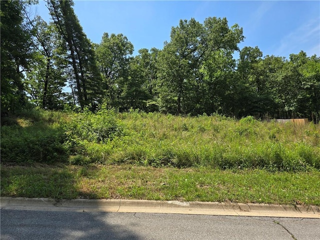 1306 Shepherd St, Pea Ridge, AR 72751 - photo 1