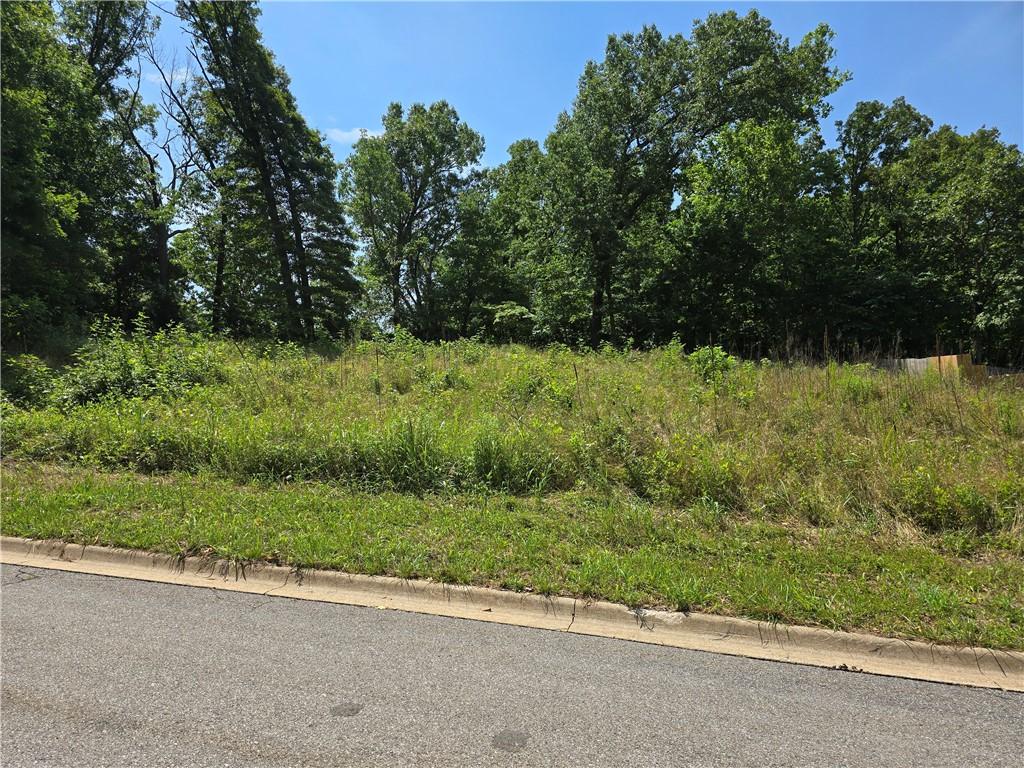 1306 Shepherd St, Pea Ridge, AR 72751 - photo 2