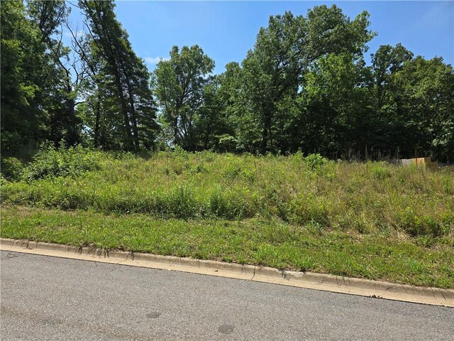 1306 Shepherd St, Pea Ridge, AR 72751 - photo 2