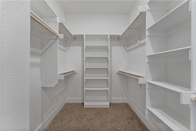 walk in closet featuring carpet floors