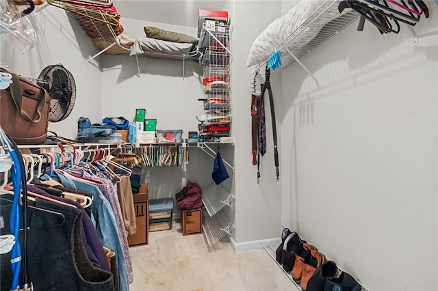 spacious closet with carpet