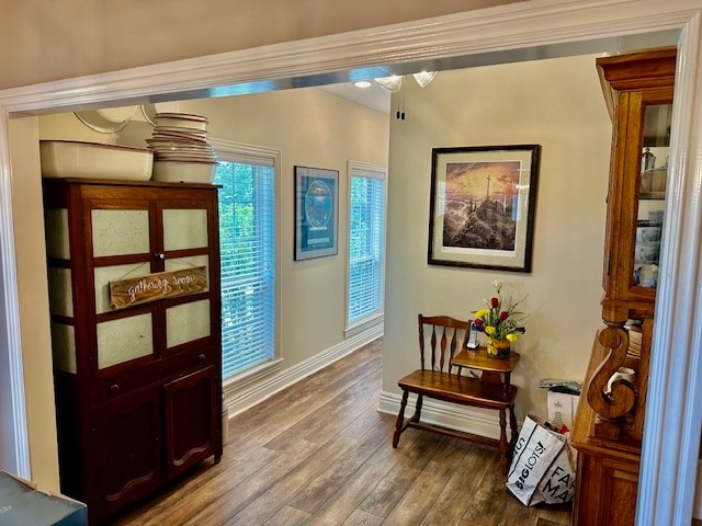 entryway with hardwood / wood-style floors