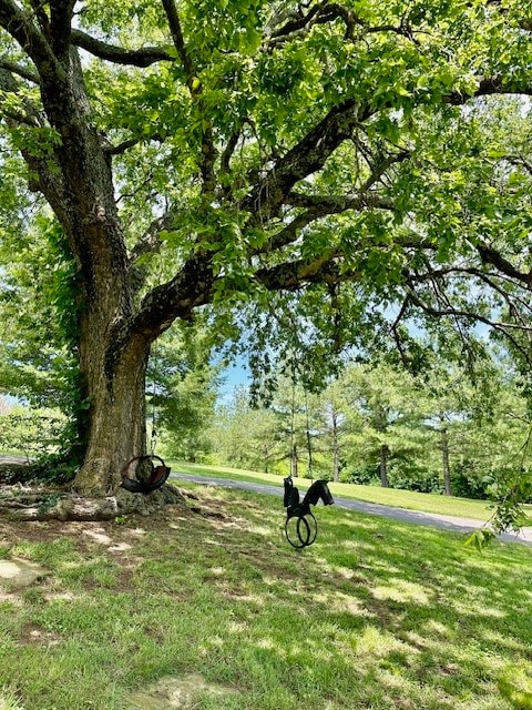 view of home's community featuring a lawn