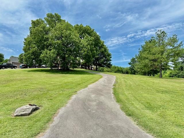 view of home's community with a lawn