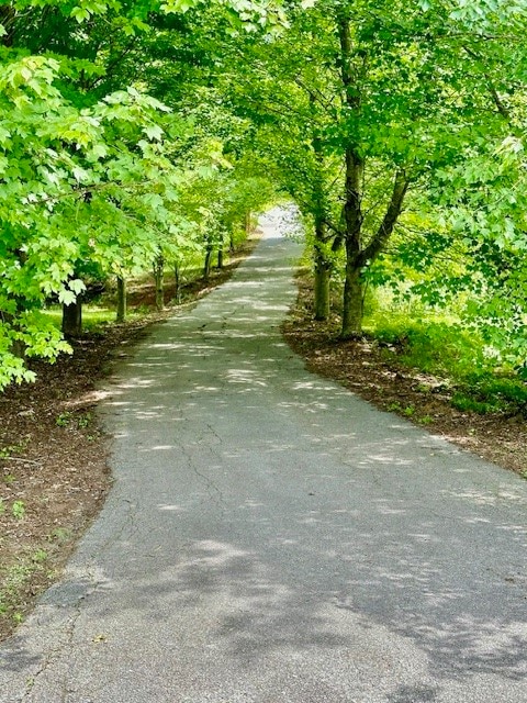 view of road