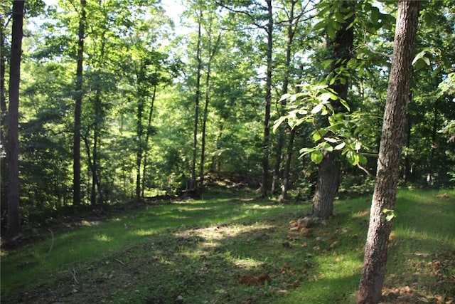 view of local wilderness