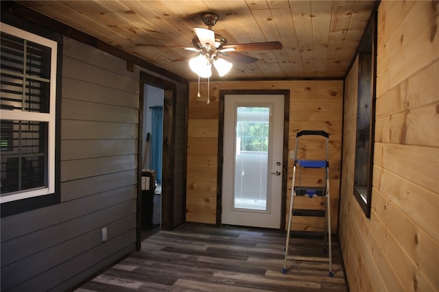 doorway to outside featuring dark wood-type flooring, ceiling fan, wooden ceiling, and wooden walls