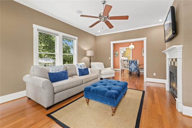 living room with ceiling fan, wood-type flooring, and ornamental molding