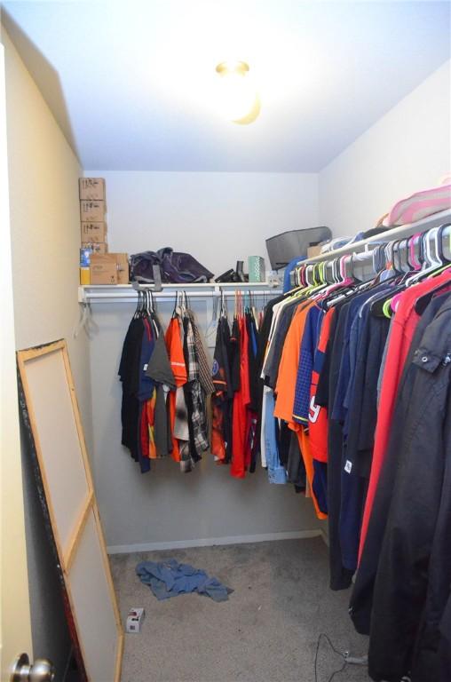 walk in closet featuring carpet