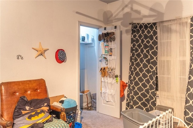 bedroom with carpet floors