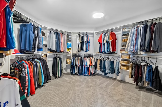 walk in closet featuring carpet