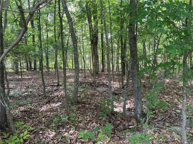 Listing photo 3 for LOT26 N Lewes Ln, Bella Vista AR 72714