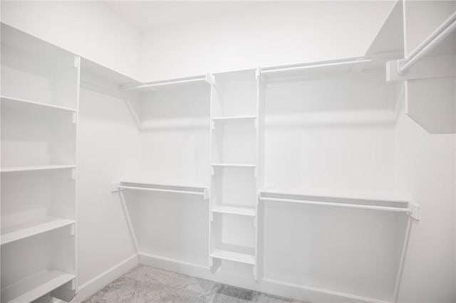 spacious closet featuring carpet floors