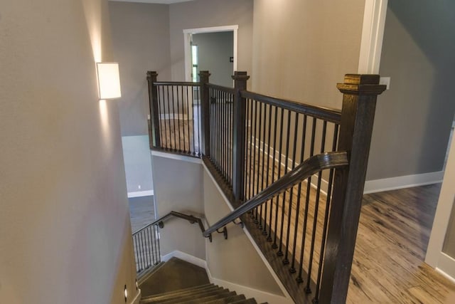 staircase with wood-type flooring