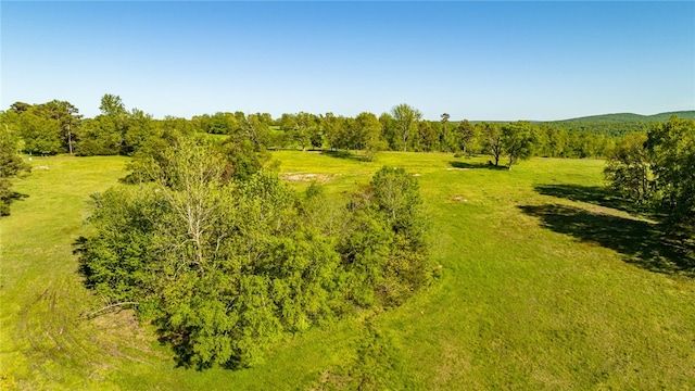 Listing photo 3 for TBD Foothill Ln, Marshall AR 72650