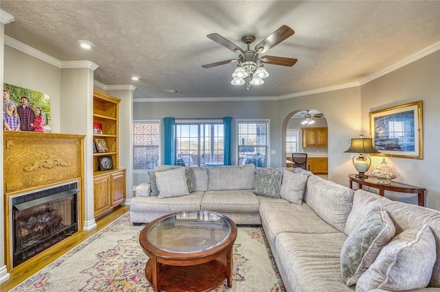 living room featuring a textured ceiling and crown molding