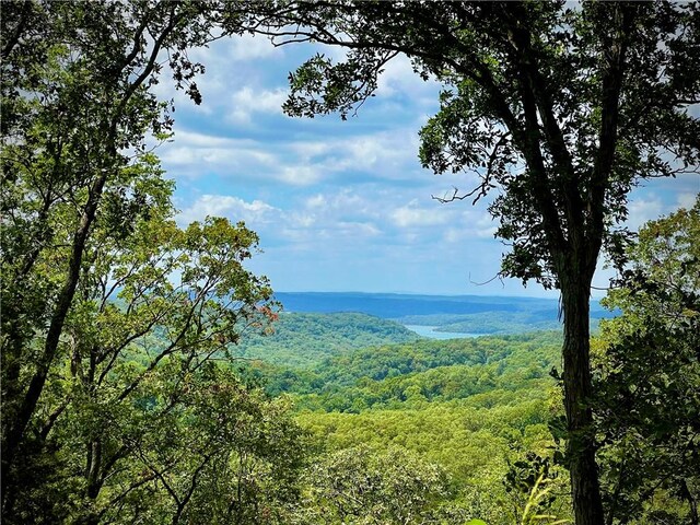 20255 Ar-127, Rogers AR, 72732 land for sale