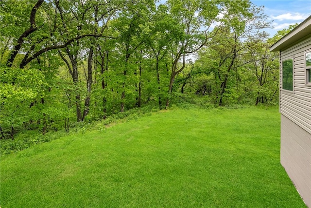 32 Taransay Dr, Bella Vista, AR 72715 - view of yard