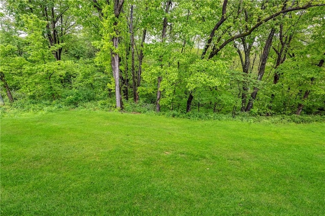 view of yard featuring a wooded view