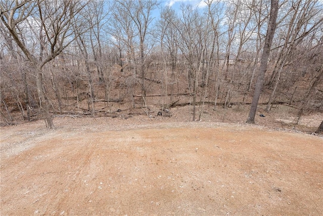 view of yard with dirt driveway